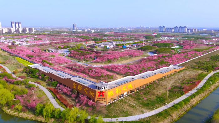 大地图片1(1).png